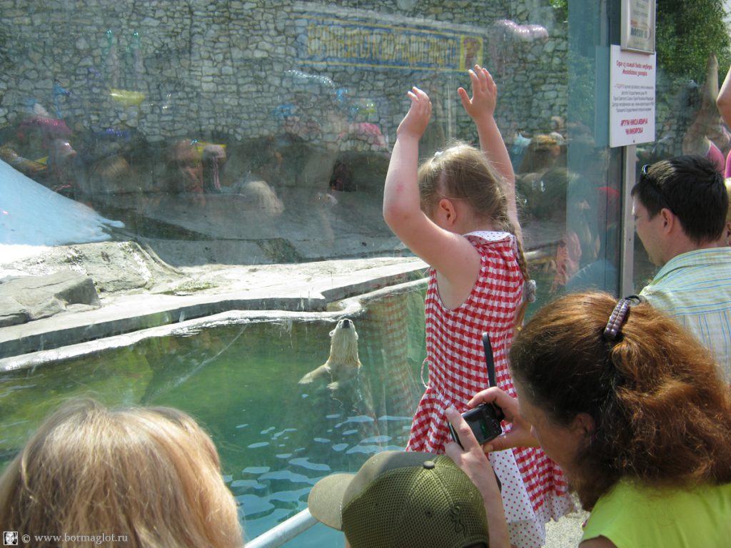 фотография посетителей зоопарка