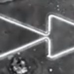 Видео: однонаправленный рост нейронов